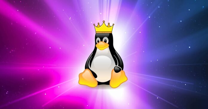 Linux 6.14 přináší zvýšenou efektivitu (Foto: Ubuntu)